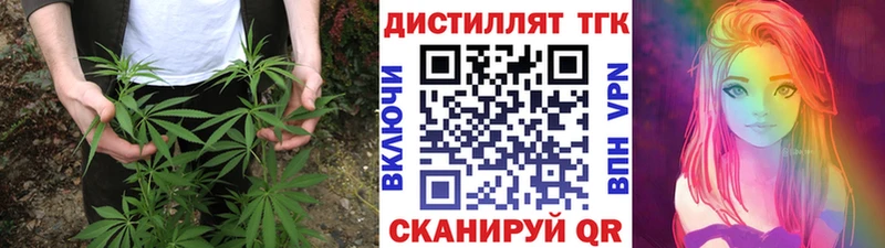 ТГК вейп  сколько стоит  mega как войти  Полесск 