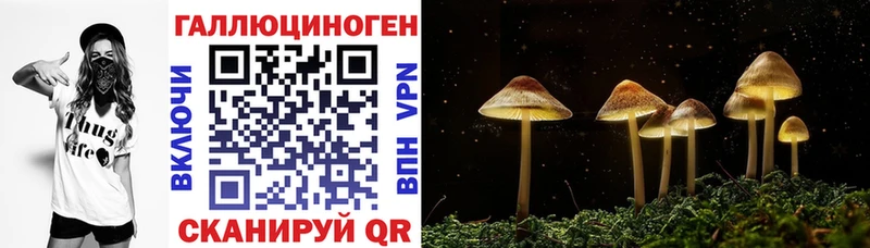 это наркотические препараты  Полесск  Галлюциногенные грибы мицелий  как найти  